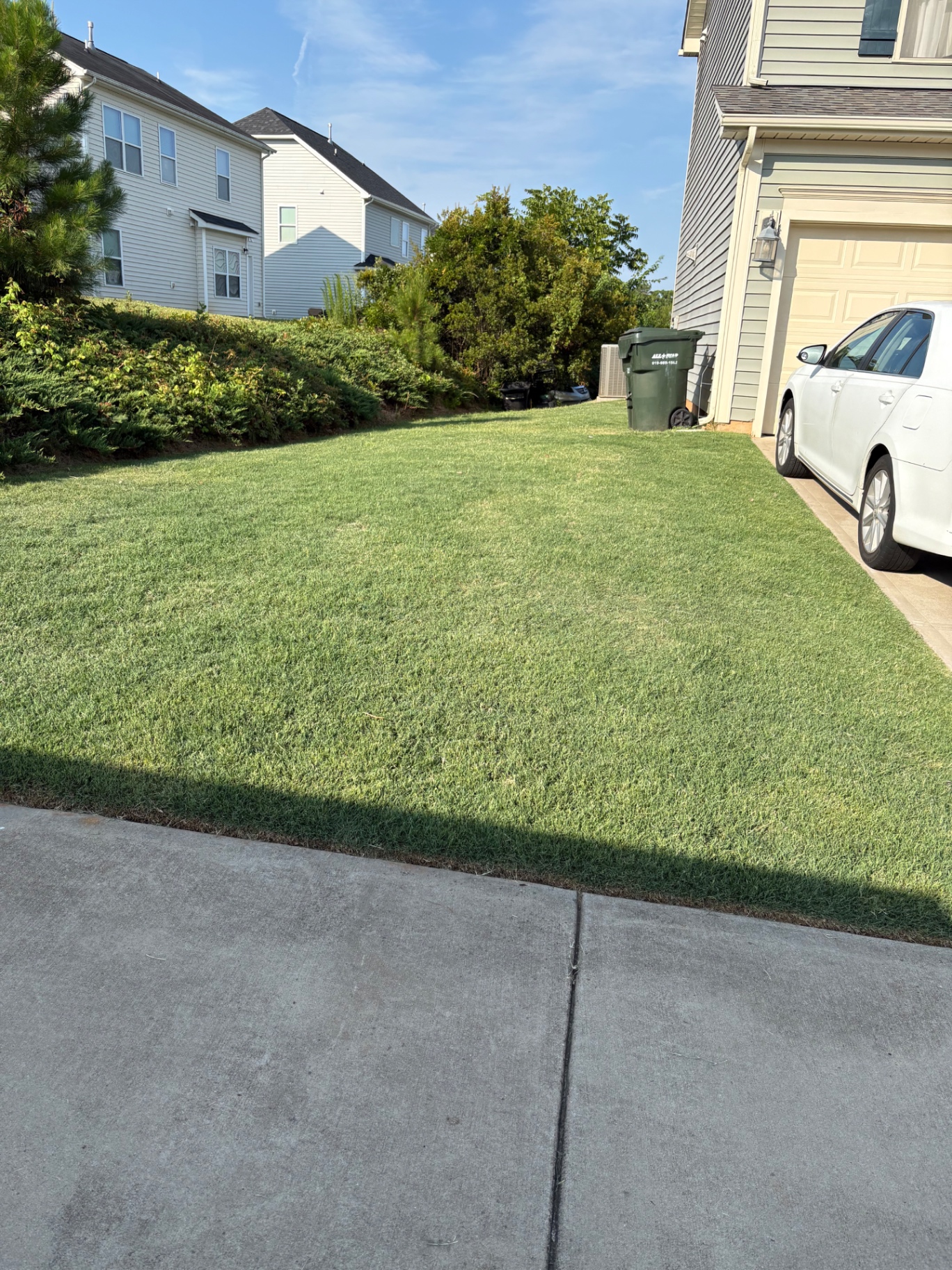 Manicured Yard Finish