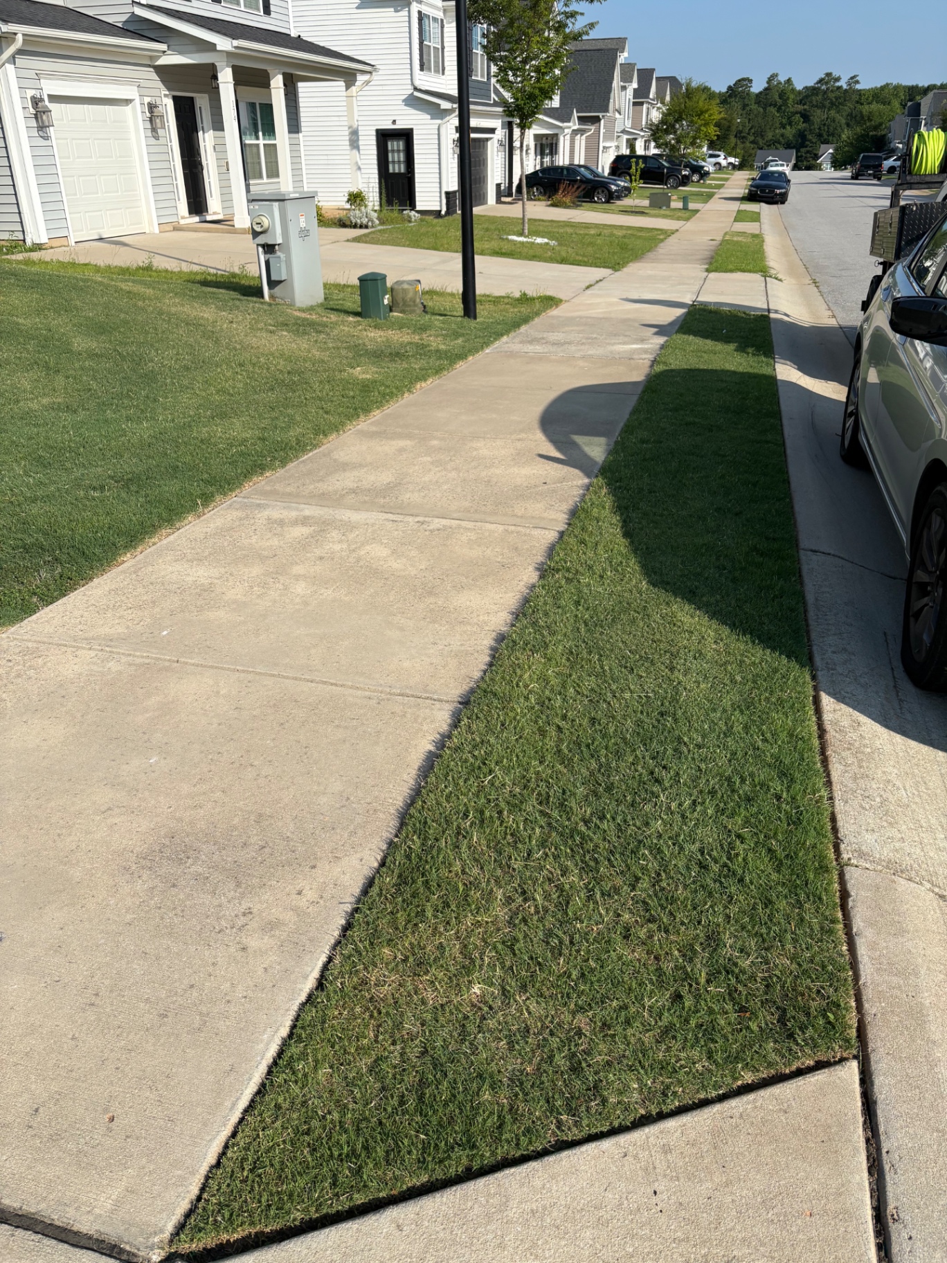 Crisp Edging & Sidewalk Cleanup